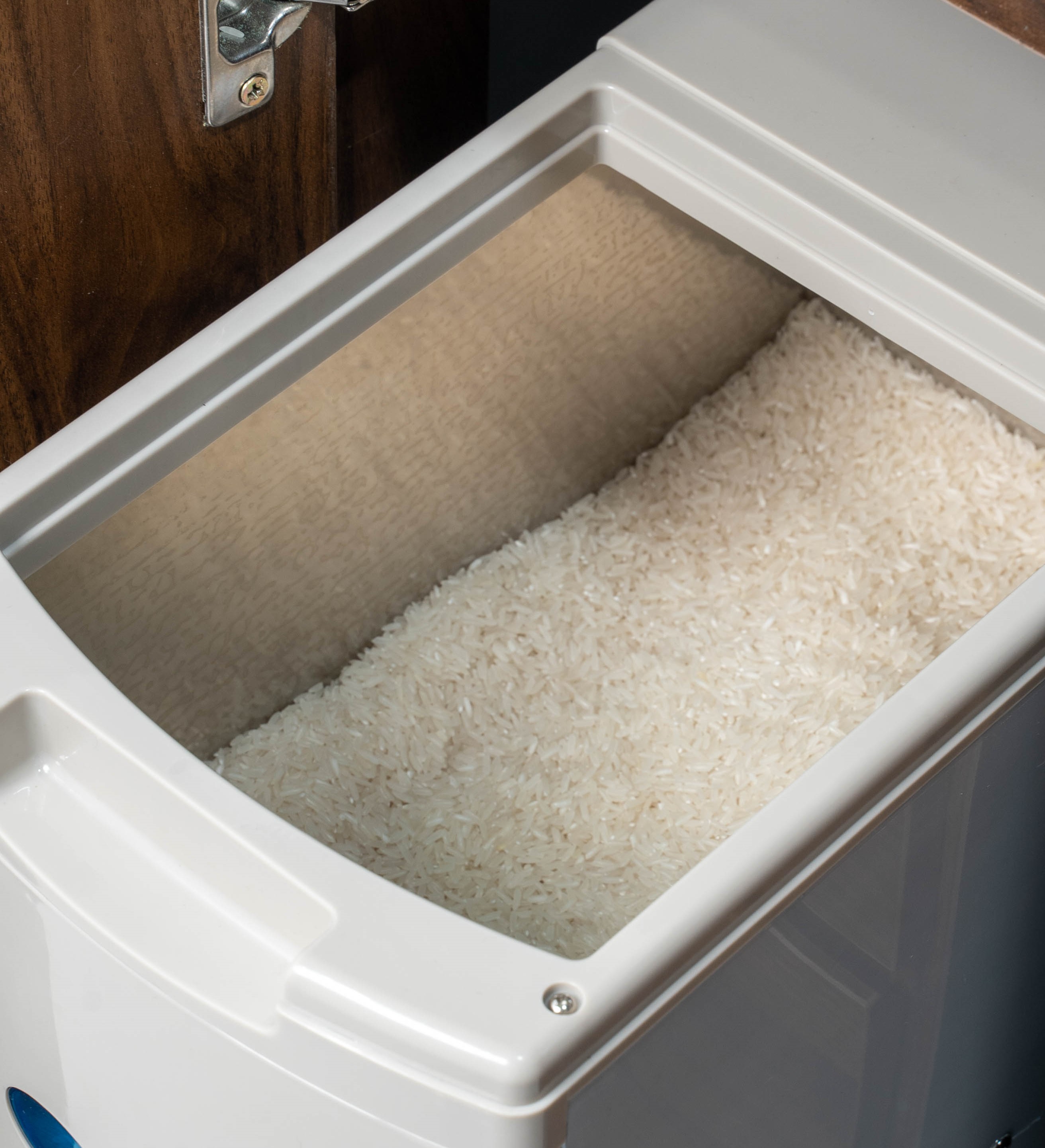 Thùng gạo âm tủ có chống được mối mọt không? Thùng gạo âm tủ có chống được mối mọt không?